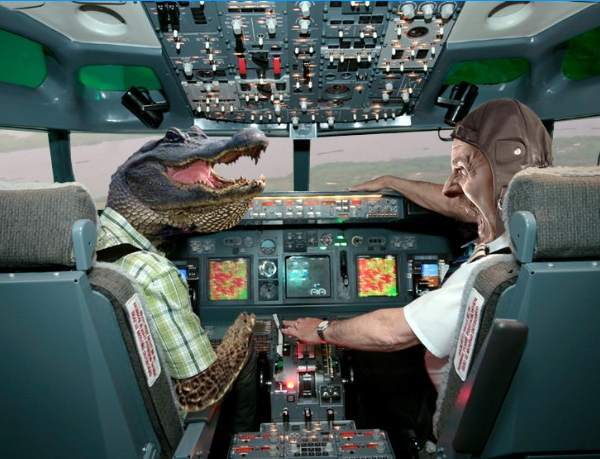 APG 042 – Crocs on a Plane