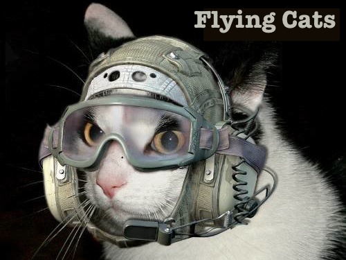 APG 049 – Flying Cats